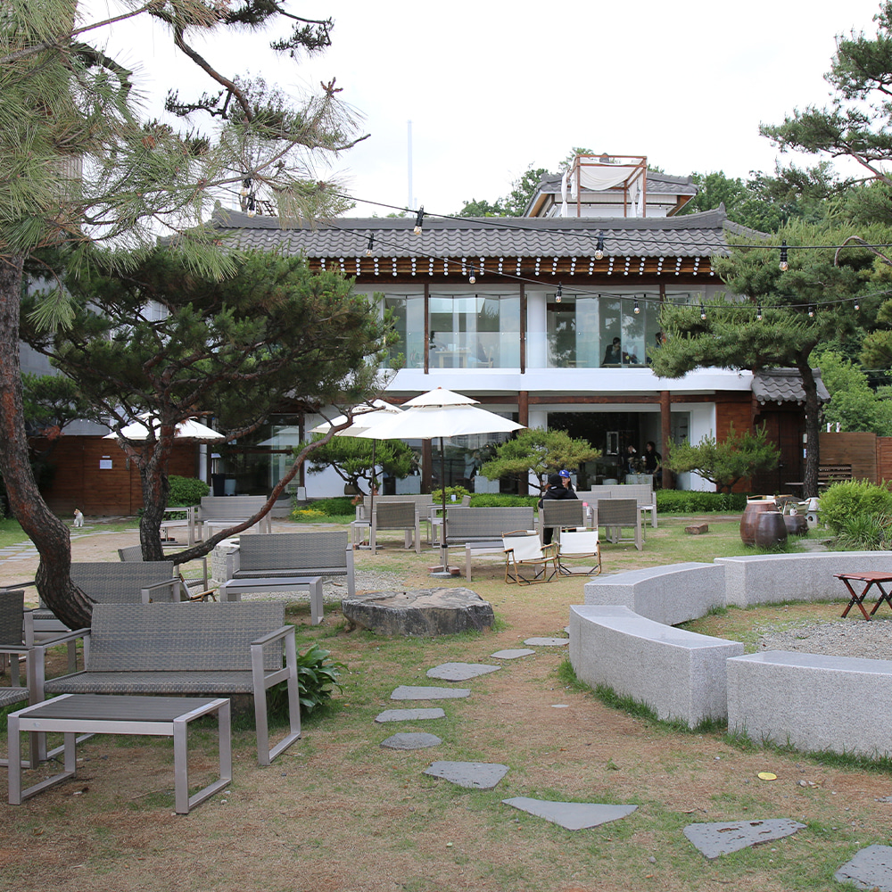 ㅊa카페, 차 카페, 납품사례